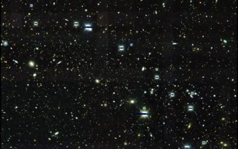 Rare Dwarf Satellite Galaxy Candidates