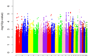 Figure 2.  Manhattan plot of SNP P-values from the full-Jewish GWAS.   The Y-axis shows the negative base ten logarithm of the P-values and the X-axis shows the chromosomes.  The genome-wide significance threshold, P<10-7.3 (i.e. P<5x10-8) is shown in red.